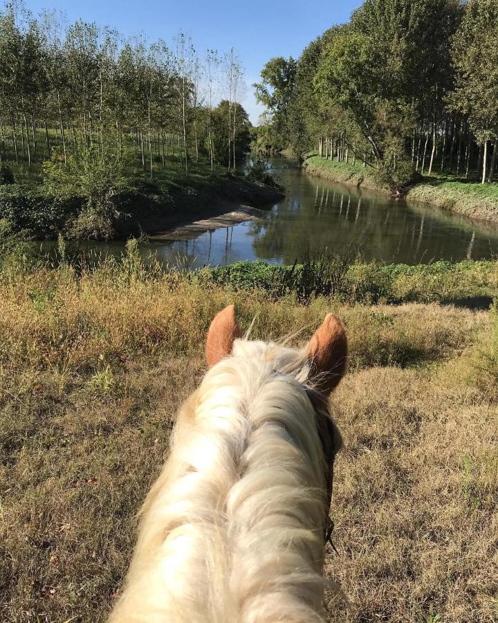 Agriturismo Tenuta "Il Cigno" Villanterio エクステリア 写真