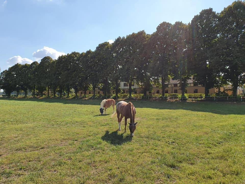 Agriturismo Tenuta "Il Cigno" Villanterio エクステリア 写真