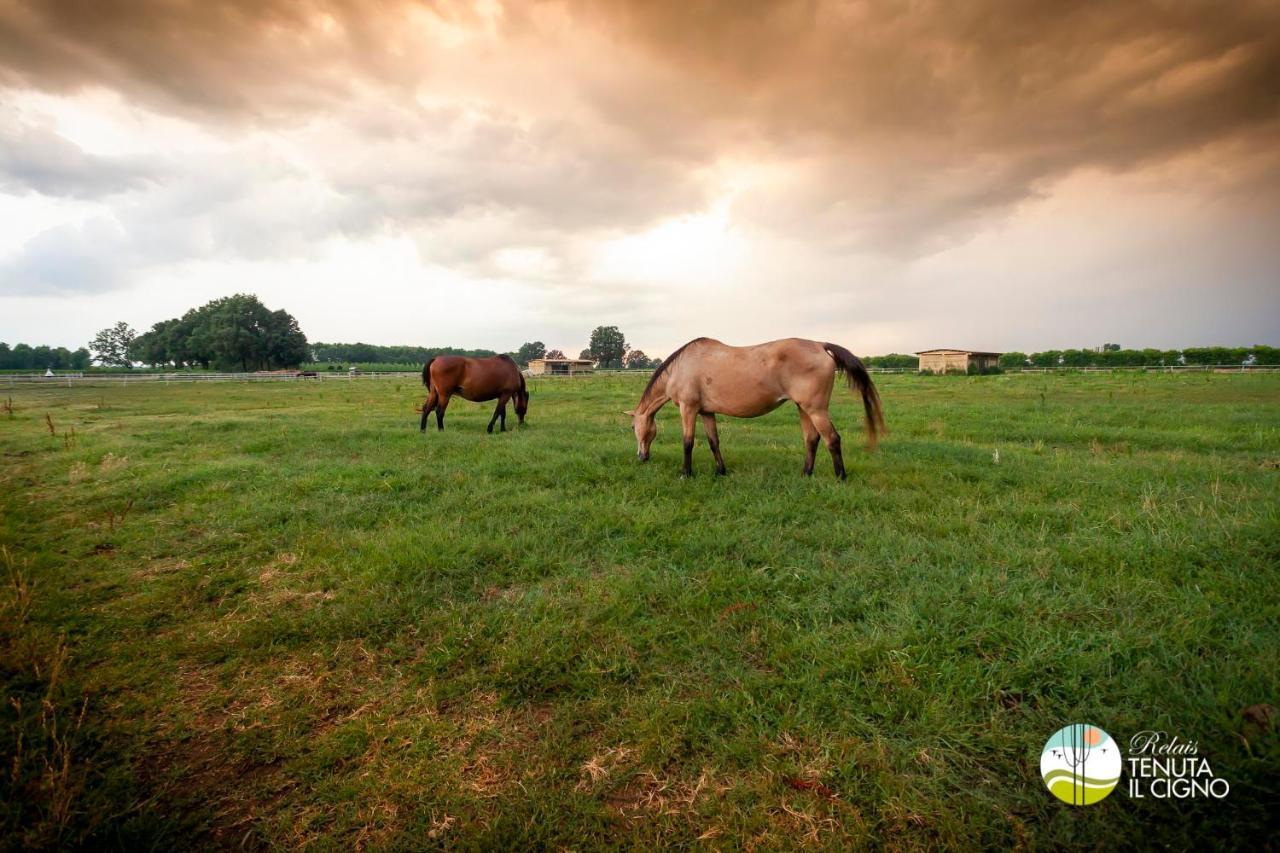 Agriturismo Tenuta "Il Cigno" Villanterio エクステリア 写真